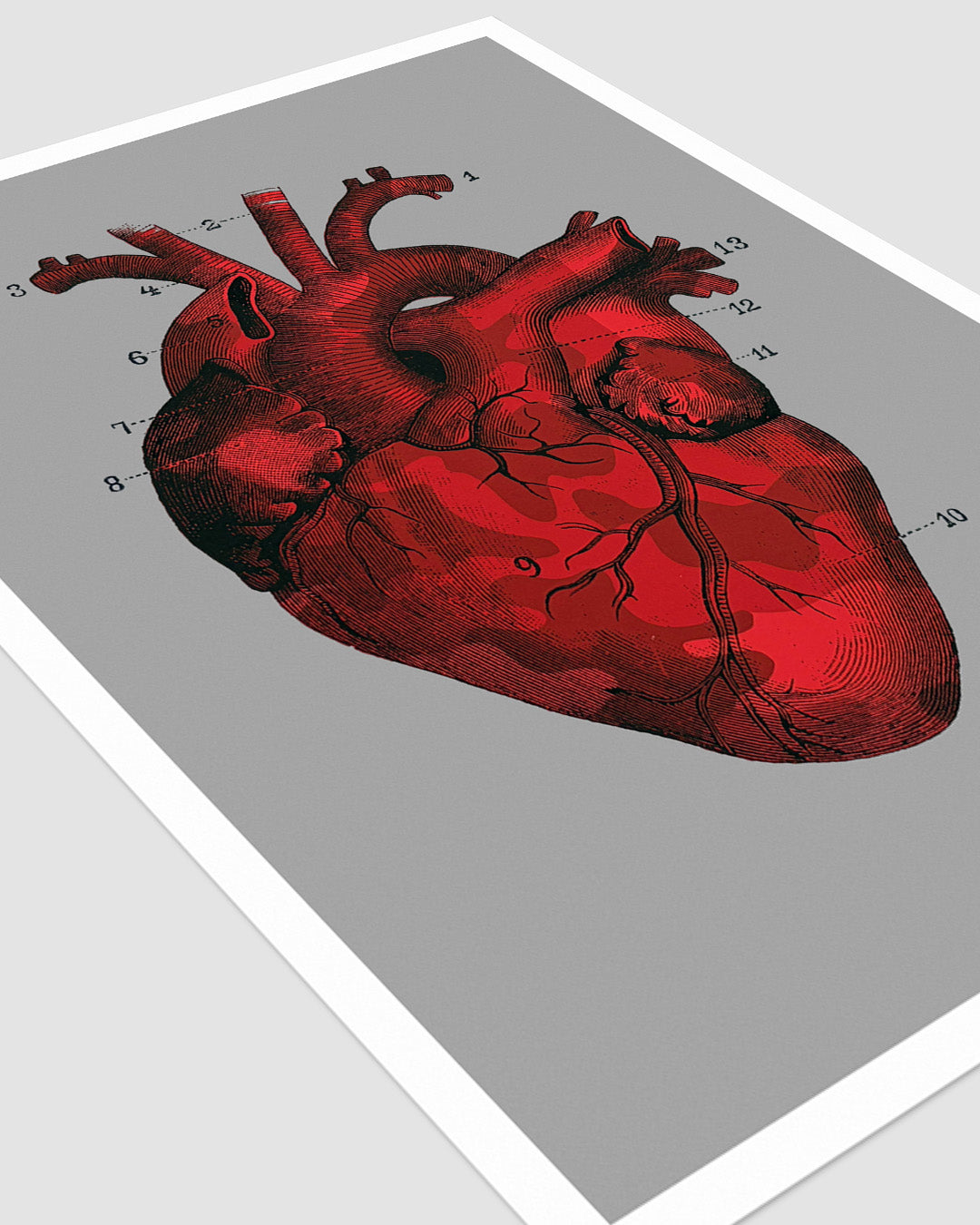 OUR CAMOUFLAGE HEARTS - BEATING