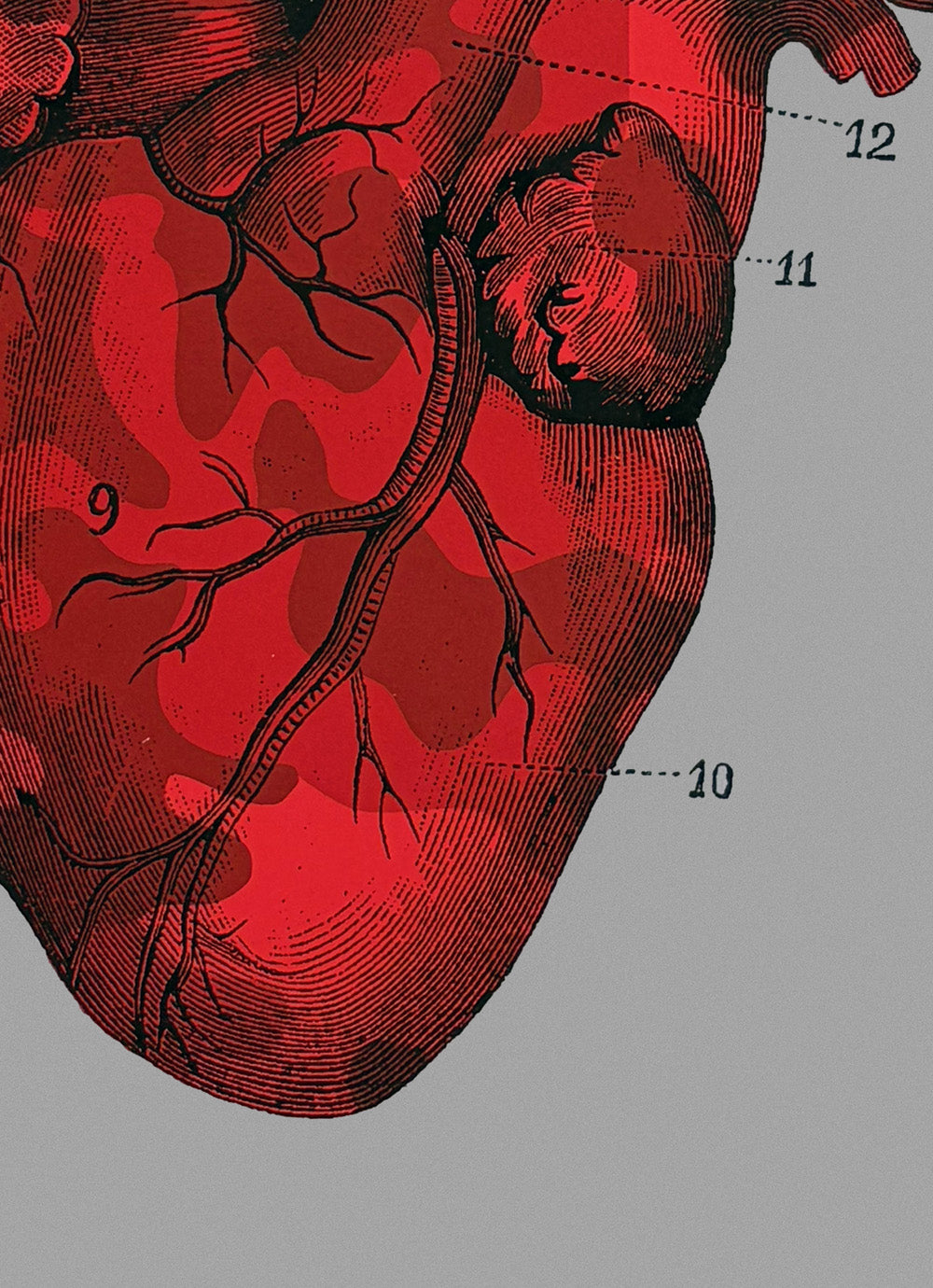 OUR CAMOUFLAGE HEARTS - BEATING