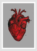 OUR CAMOUFLAGE HEARTS - BEATING
