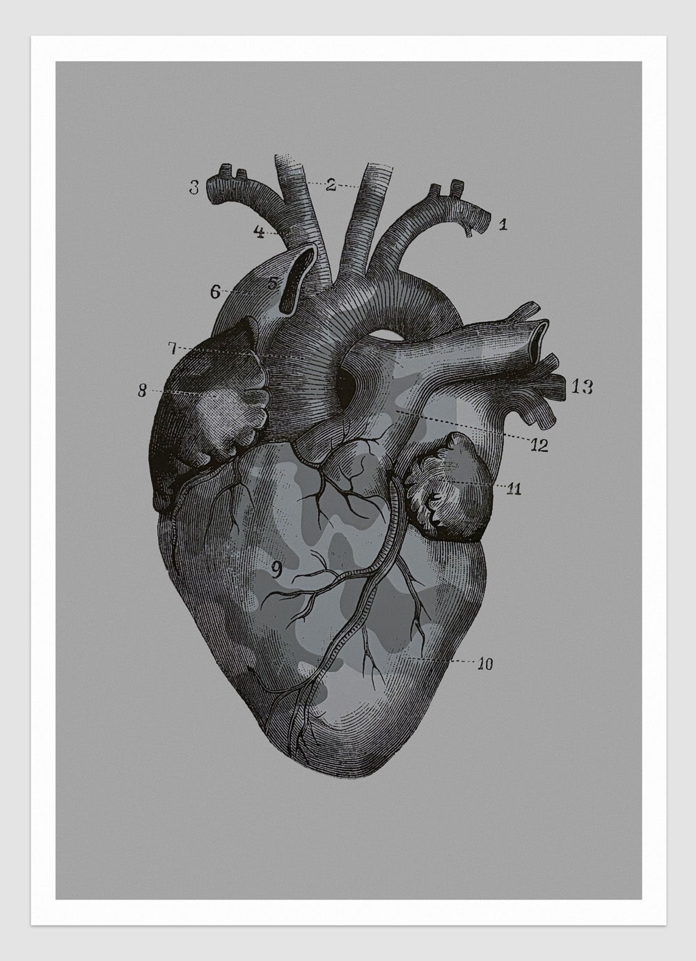 OUR CAMOUFLAGE HEARTS - STONE